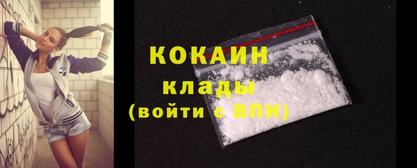 индика Нягань