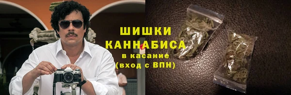 индика Нягань