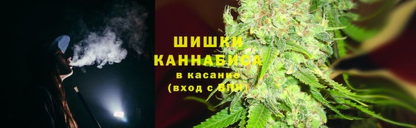 индика Нягань