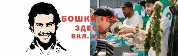 гидропоника Нязепетровск