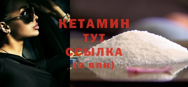 индика Нягань