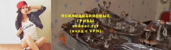 PSILOCYBIN Магас