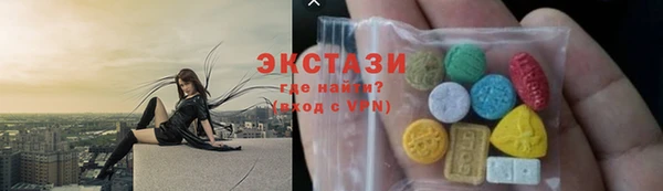 индика Нягань