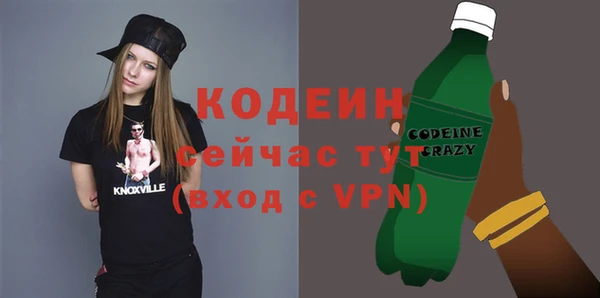 индика Нягань