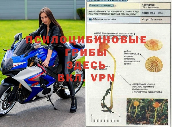 Альфа ПВП Бутурлиновка