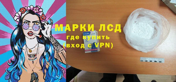 индика Нягань