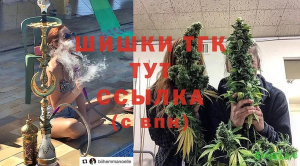 гидропоника Нязепетровск