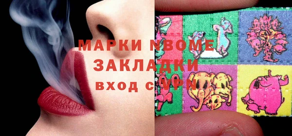 индика Нягань