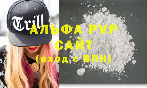 индика Нягань