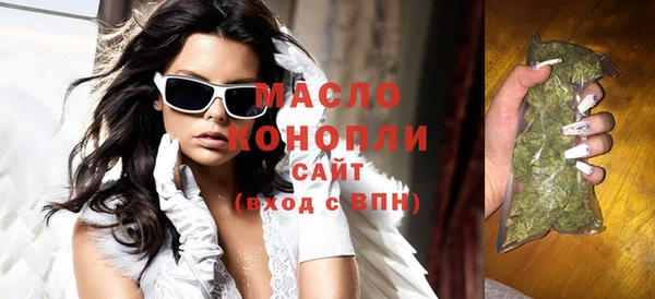 индика Нягань