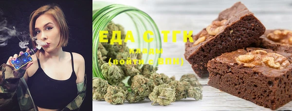 индика Нягань