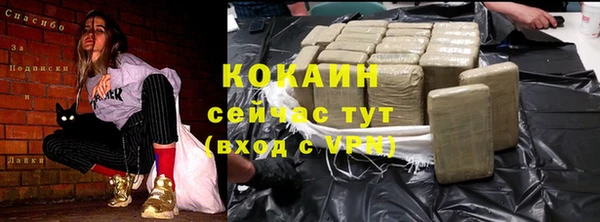 индика Нягань
