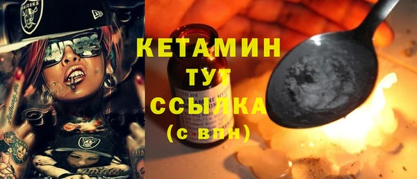индика Нягань
