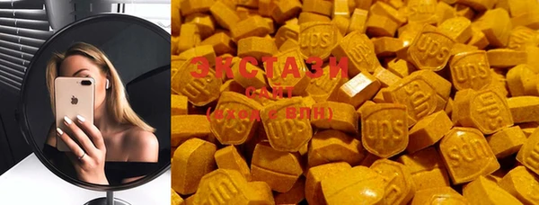 индика Нягань