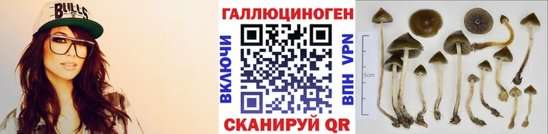 купить наркотик  Красный Холм  Галлюциногенные грибы Magic Shrooms 